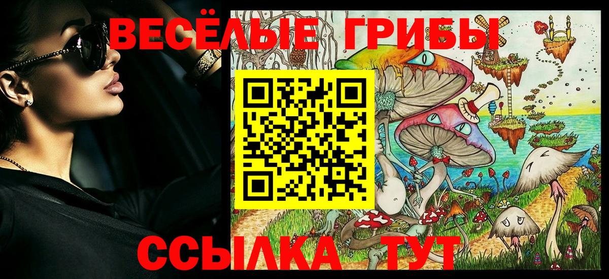 Псилоцибиновые грибы Psilocybine cubensis Ленинск-Кузнецкий
