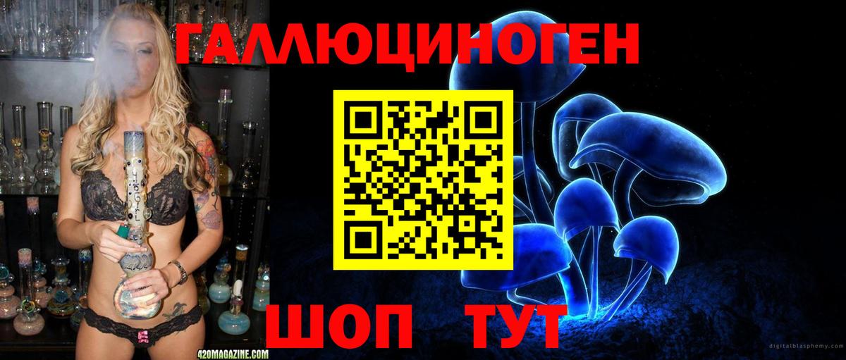 Псилоцибиновые грибы Psilocybe  Вход с VPN  Ленинск-Кузнецкий  Галлюциногенные грибы мухоморы 